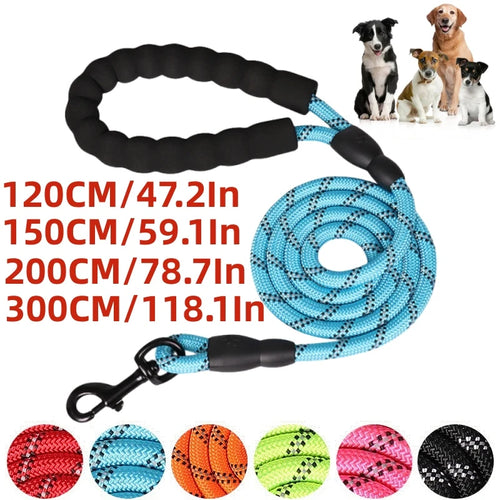 Laisse renforcée pour chien